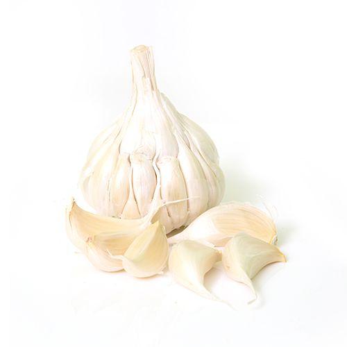 Garlic sold out